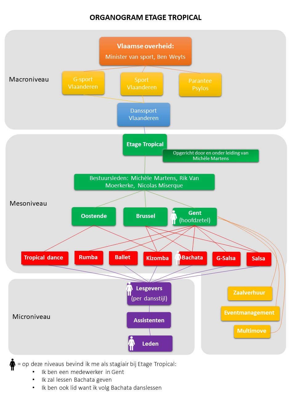 foto3: schema van het organogram van etage tropical